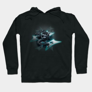 The fury of the ninja Hoodie